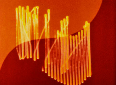 Mary Ellen Bute: Abstronic 1952