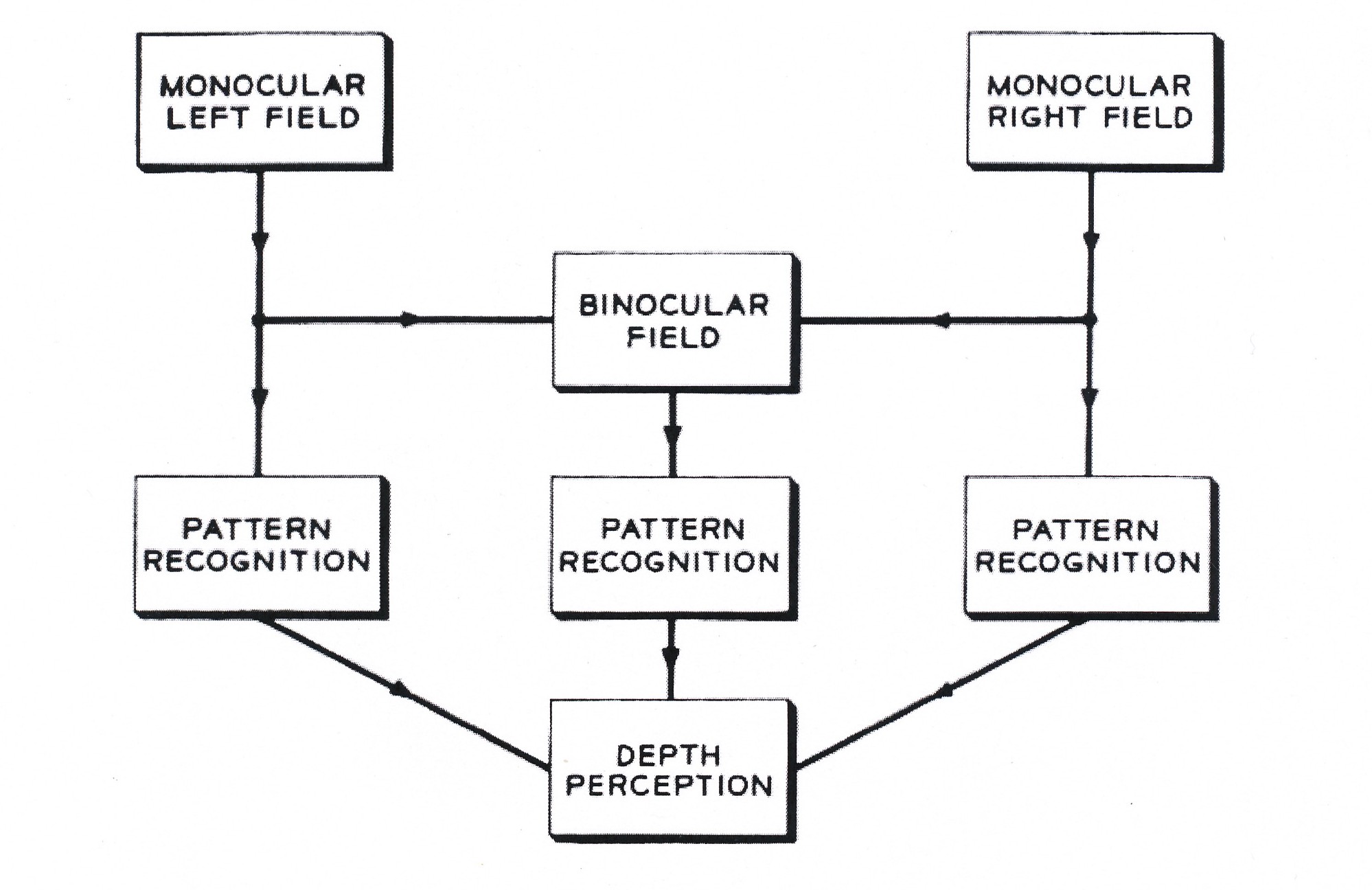 Bla Julesz: Depth perception by monocular and binocular pattern recognition, 1960